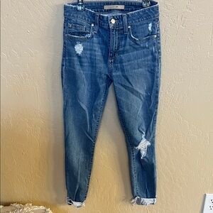 Joe's Jeans Distressed Skinny Blue Jeans